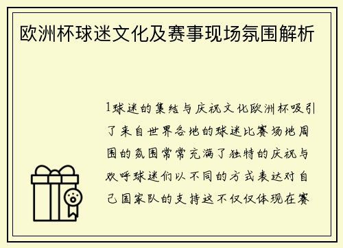 欧洲杯球迷文化及赛事现场氛围解析